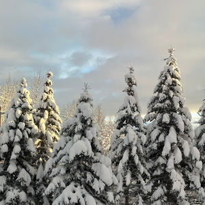 Meet your Posher, Justice